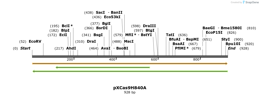 100596_map