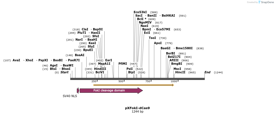 100598_map