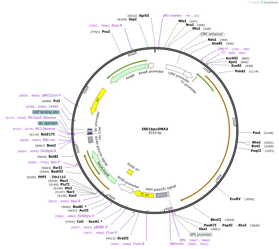 10060_map
