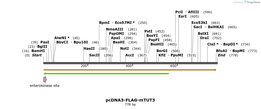 100603_map