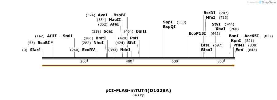 100604_map