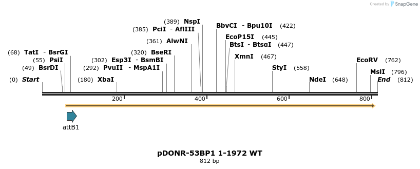 100613_map