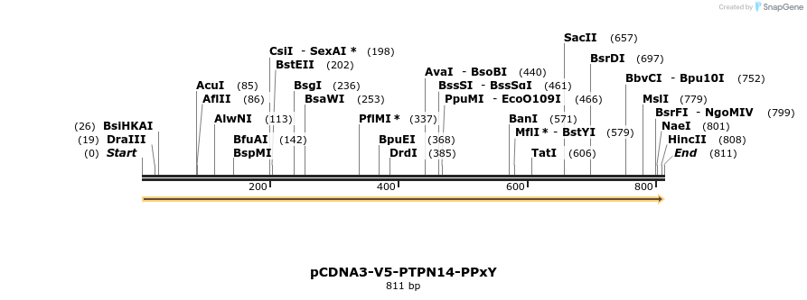 100615_map