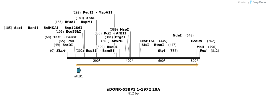 100616_map