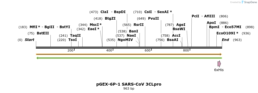 100626_map