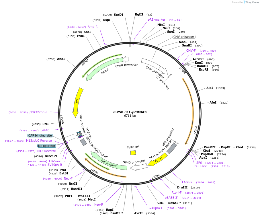 10065_map