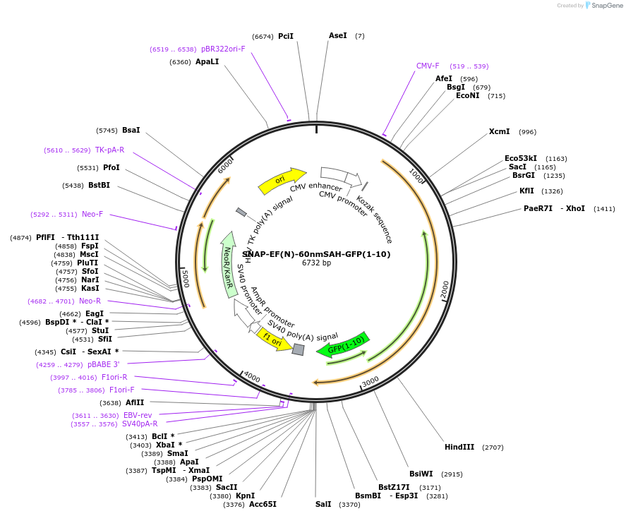 100657_map
