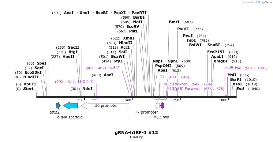 100667_map