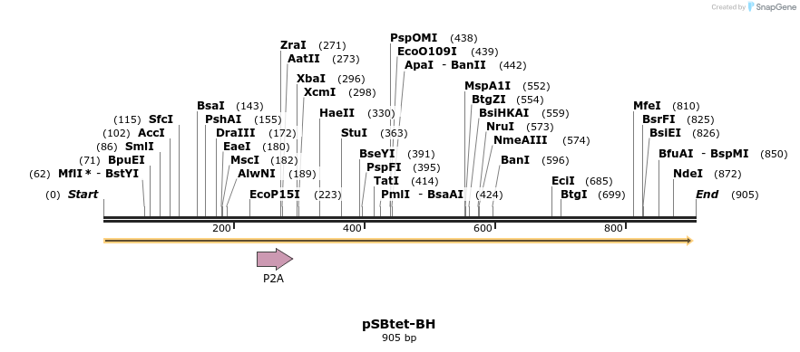 100681_map