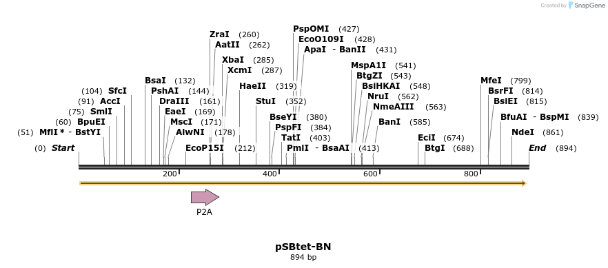 100682_map