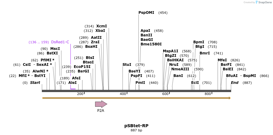 100684_map