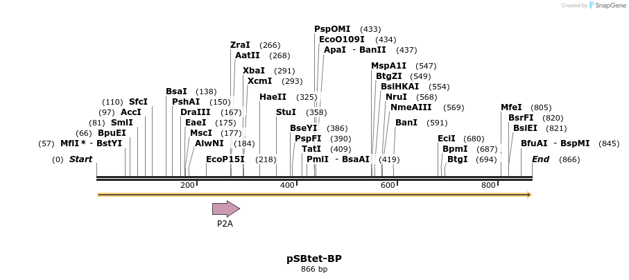 100686_map