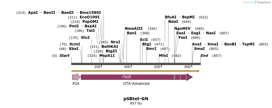 100690_map