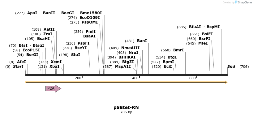100695_map
