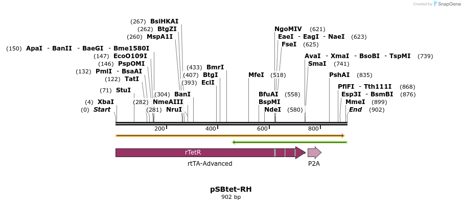 100697_map