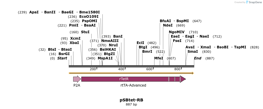 100702_map