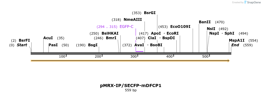 100706_map