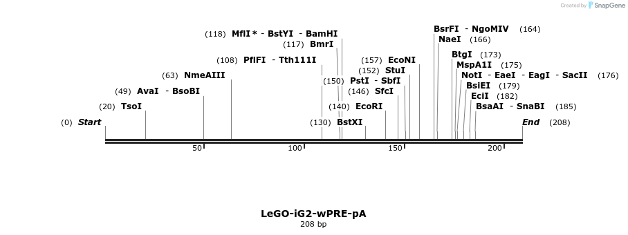 100708_map