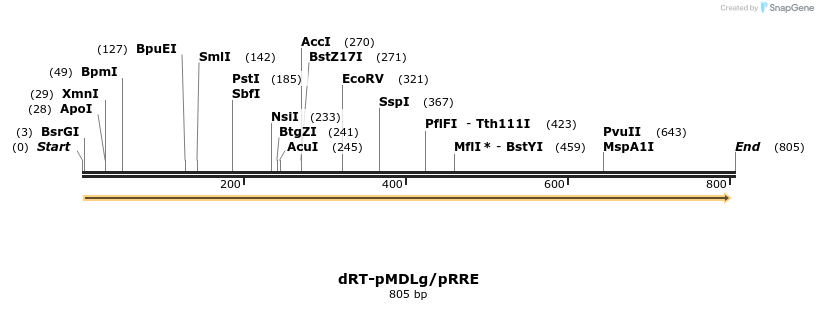 100710_map