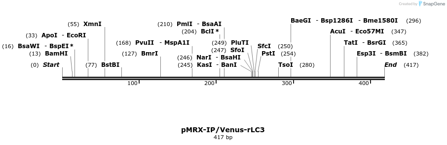 100711_map