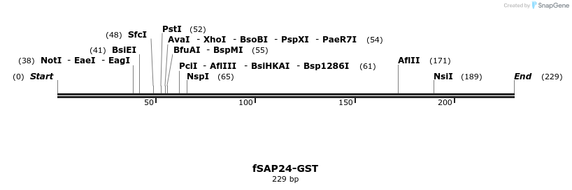 100717_map