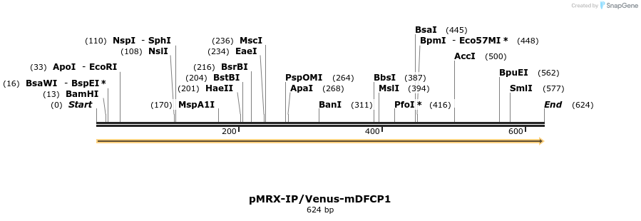 100719_map