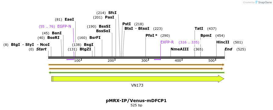 100721_map