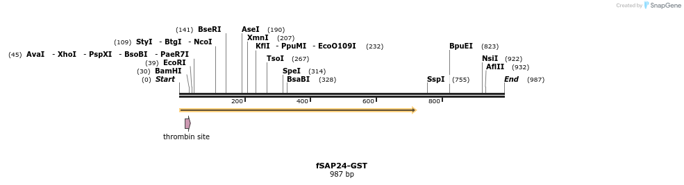 100722_map