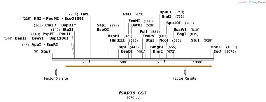 100725_map