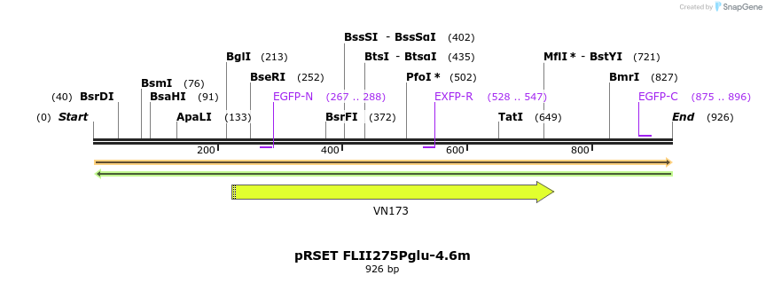 100728_map