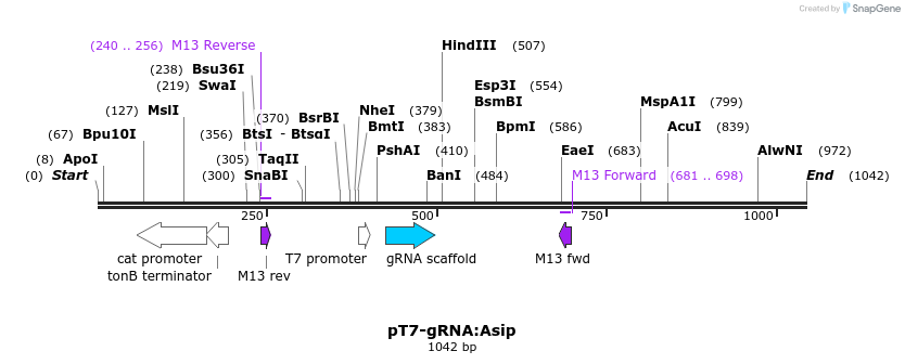 100730_map