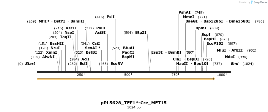 100731_map