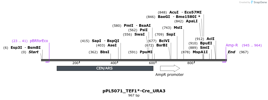 100733_map