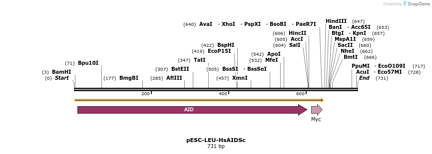 100741_map