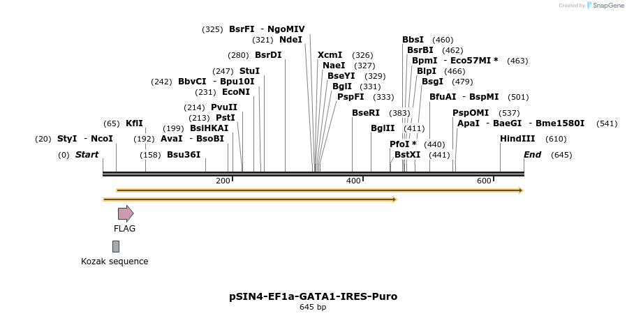 100742_map