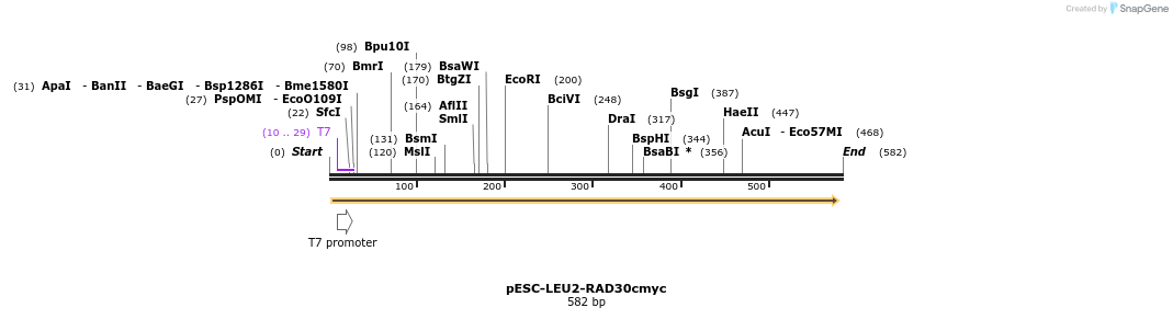 100745_map