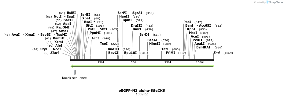 100754_map