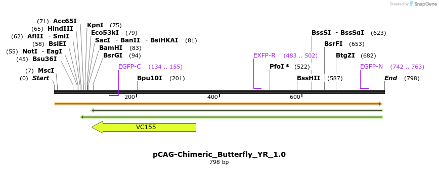 100756_map