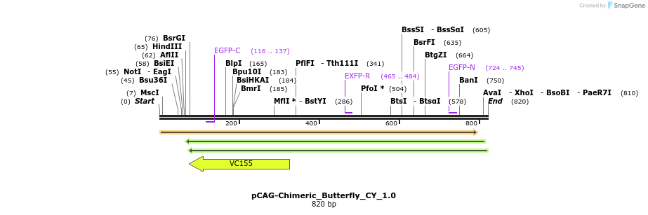 100757_map