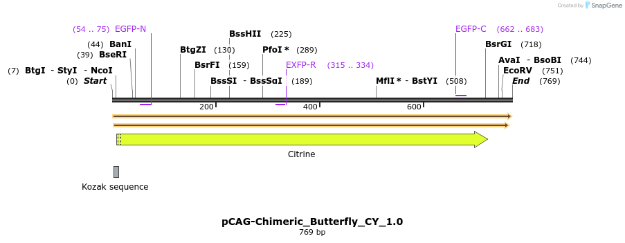 100758_map