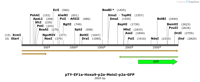 100761_map