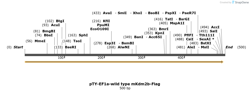100762_map