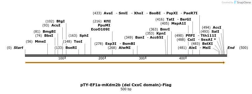 100764_map