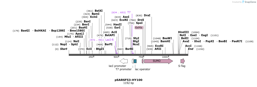 100772_map