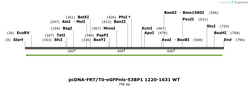 100779_map