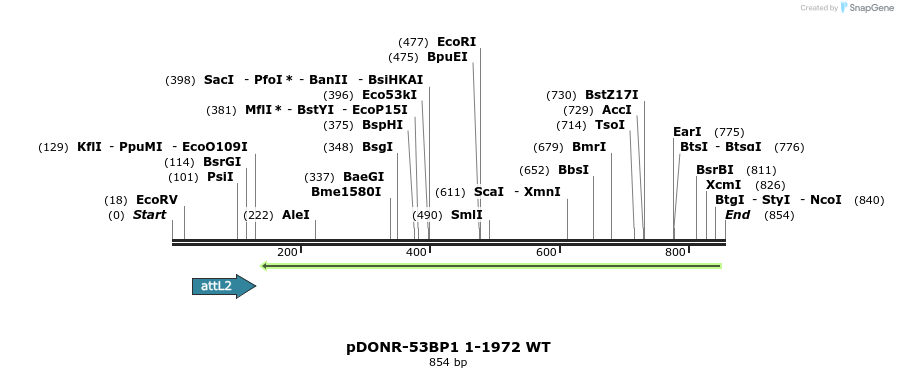 100780_map