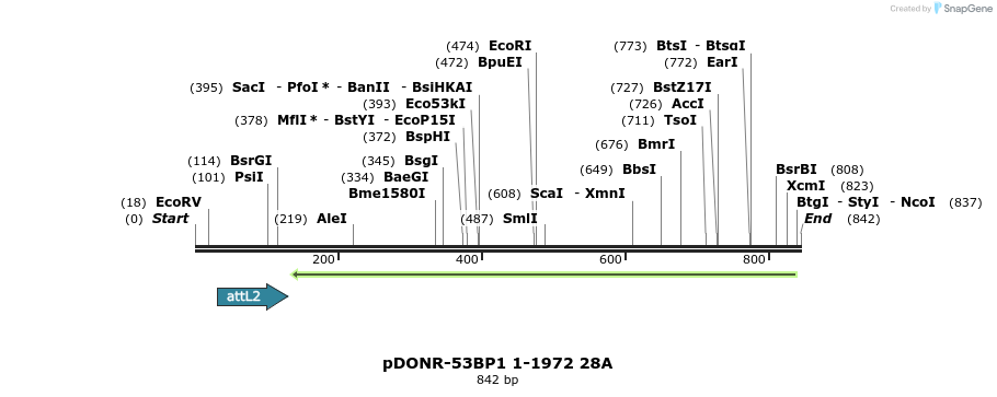 100781_map