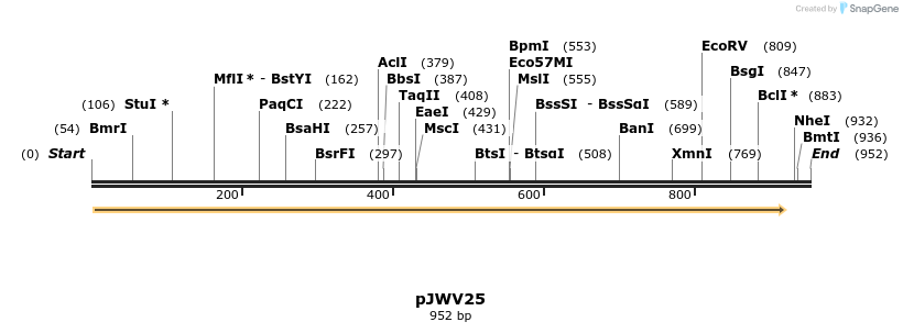 100784_map