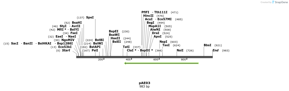 100786_map