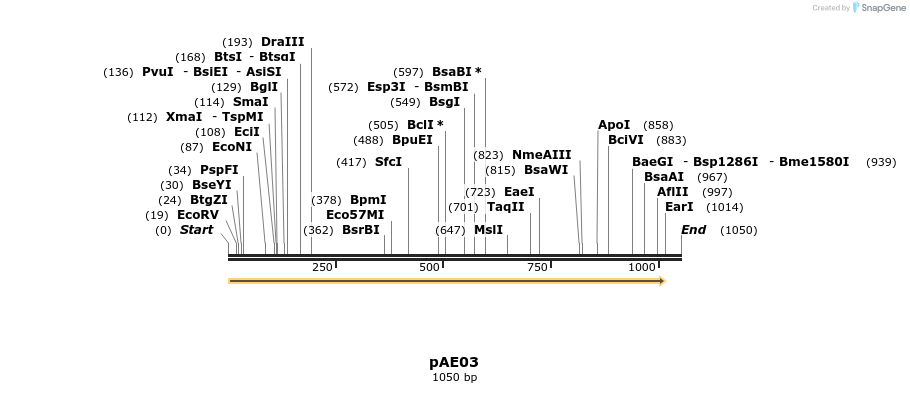 100787_map